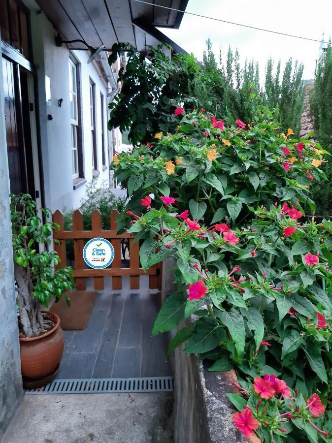 Casa Do Sr. Falcao Miranda do Corvo Buitenkant foto