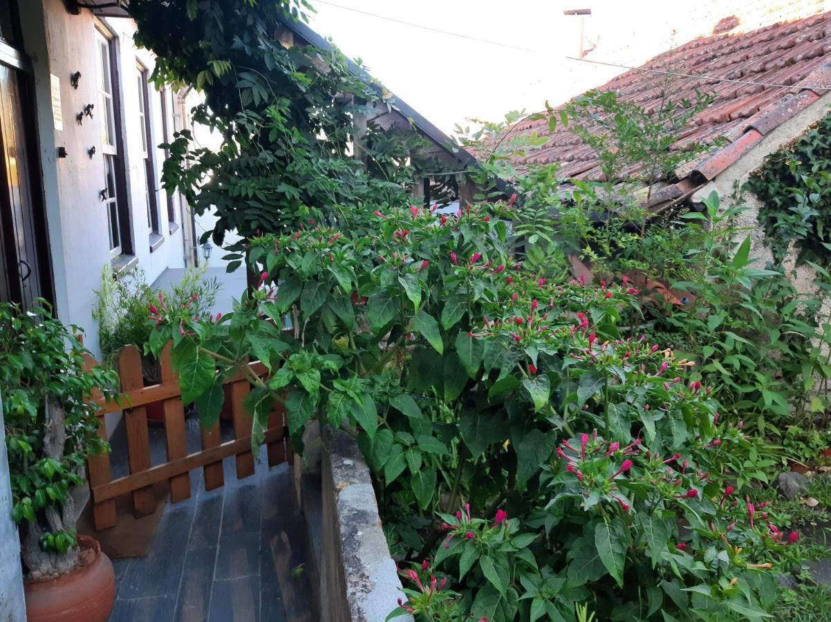Casa Do Sr. Falcao Miranda do Corvo Buitenkant foto
