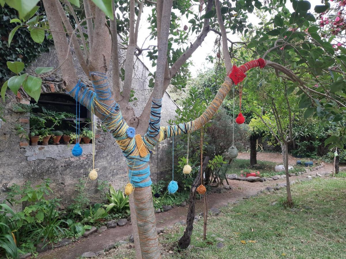 Casa Do Sr. Falcao Miranda do Corvo Buitenkant foto